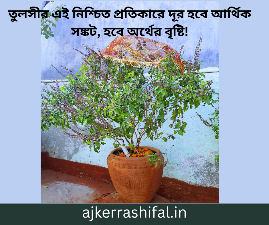 Tulsi r Sothik Dik : তুলসীর এই নিশ্চিত প্রতিকারে দূর হবে আর্থিক সঙ্কট, হবে অর্থের বৃষ্টি!